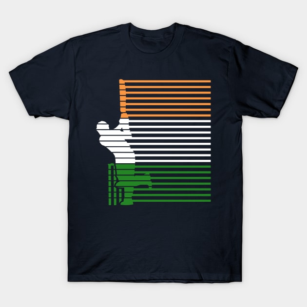 India Cricket With Indian Flag Brush Stroke T-Shirt by BraaiNinja